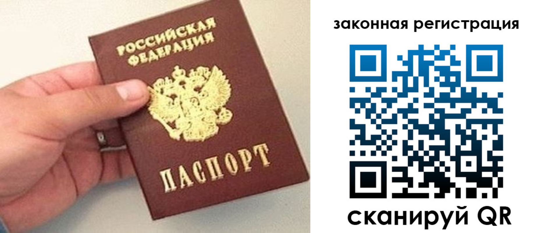 прописка для школы в Звенигороде